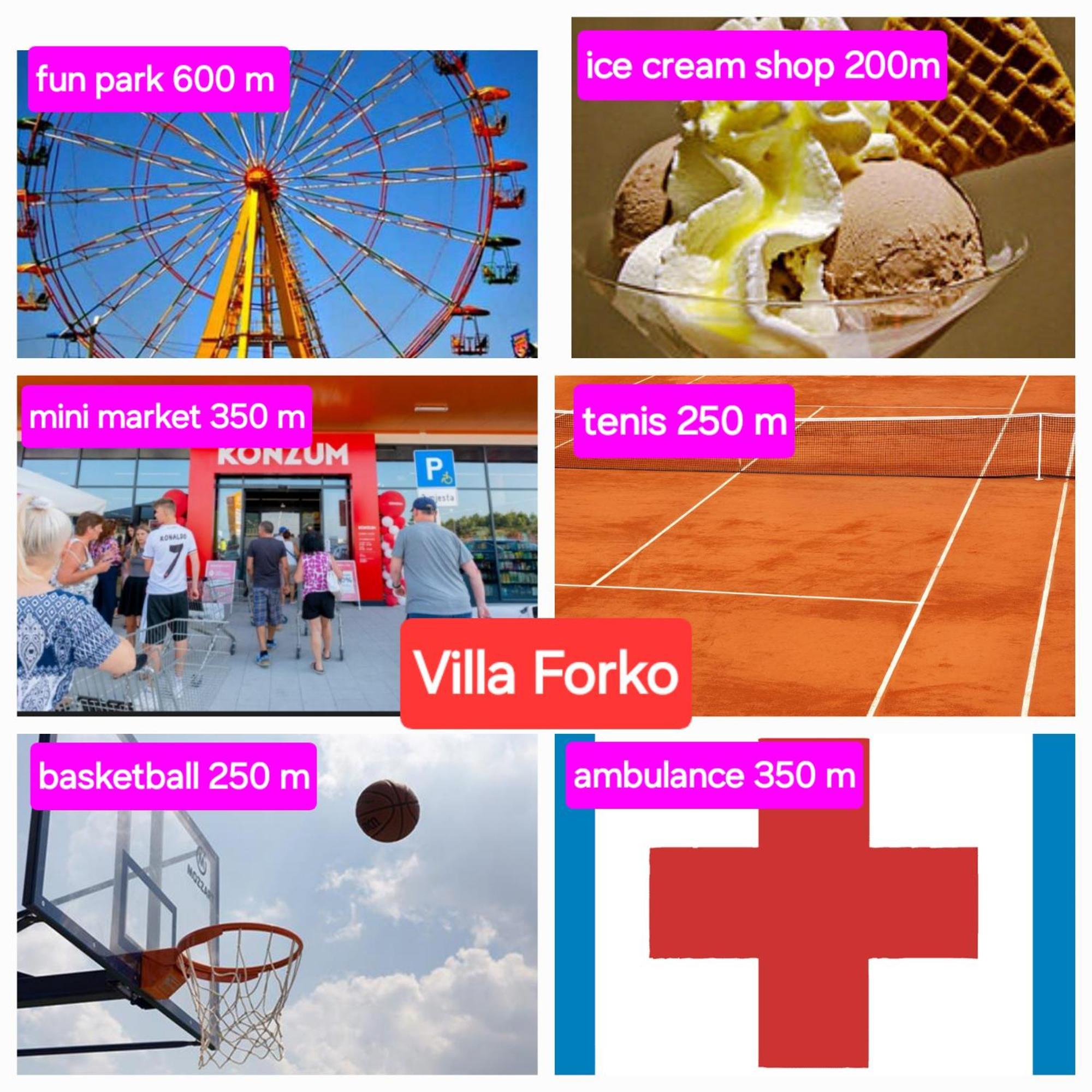 Forko Nastanitev v družini Lopar